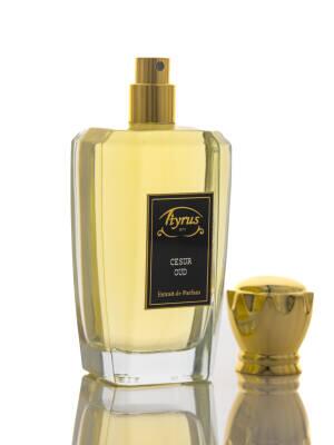 Cesur Oud Extrait de Parfüm 100 ml. - 2